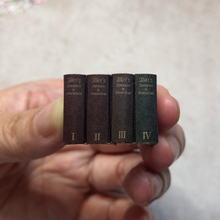 Load image into Gallery viewer, Miniature Book Kit3'Alice's Adventures in Wonderland' Easy Bean Book Kit 3 (Alice in Wonderland)