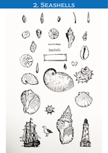 Lade das Bild in den Galerie-Viewer, Klare Briefmarken 'Muscheln'
