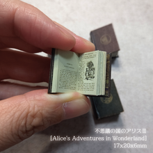 Load image into Gallery viewer, Miniature Book Kit3'Alice's Adventures in Wonderland' Easy Bean Book Kit 3 (Alice in Wonderland)