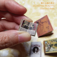 Load image into Gallery viewer, Miniature Book Kit6 'Picture bookA' Easy Bean Book Kit 6 (Picture Book A)