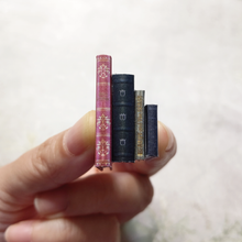 Cargar imagen en el visor de la galería, Kit de libros en miniatura 'Libro de imágenes' Easy Bean Book Kit 7 (Libro de imágenes B)