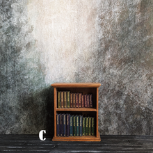 Load image into Gallery viewer, Bookshelf