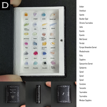 画像をギャラリービューアに読み込む, The book of the specimen box 2026/7/5
