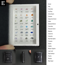 画像をギャラリービューアに読み込む, The book of the specimen box 2026/7/5