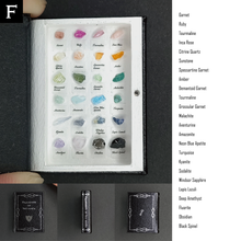画像をギャラリービューアに読み込む, The book of the specimen box 2026/7/5