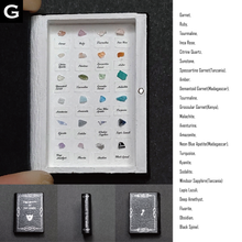 Load image into Gallery viewer, The book of the specimen box
