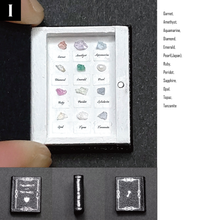 Load image into Gallery viewer, The book of the specimen box