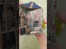 Load and play video in Gallery viewer, The Delightful House