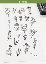 Load images into gallery viewer, [Now accepting reservations] Clear Stamps ‘Herb’
