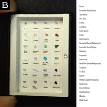 Load image into Gallery viewer, The book of the specimen box 2023/8/27

