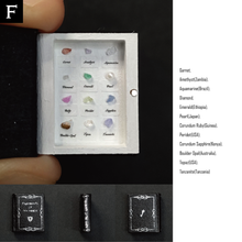 Load image into Gallery viewer, THE BOOK OF THE SPECIMEN BOX 2024/1/3
