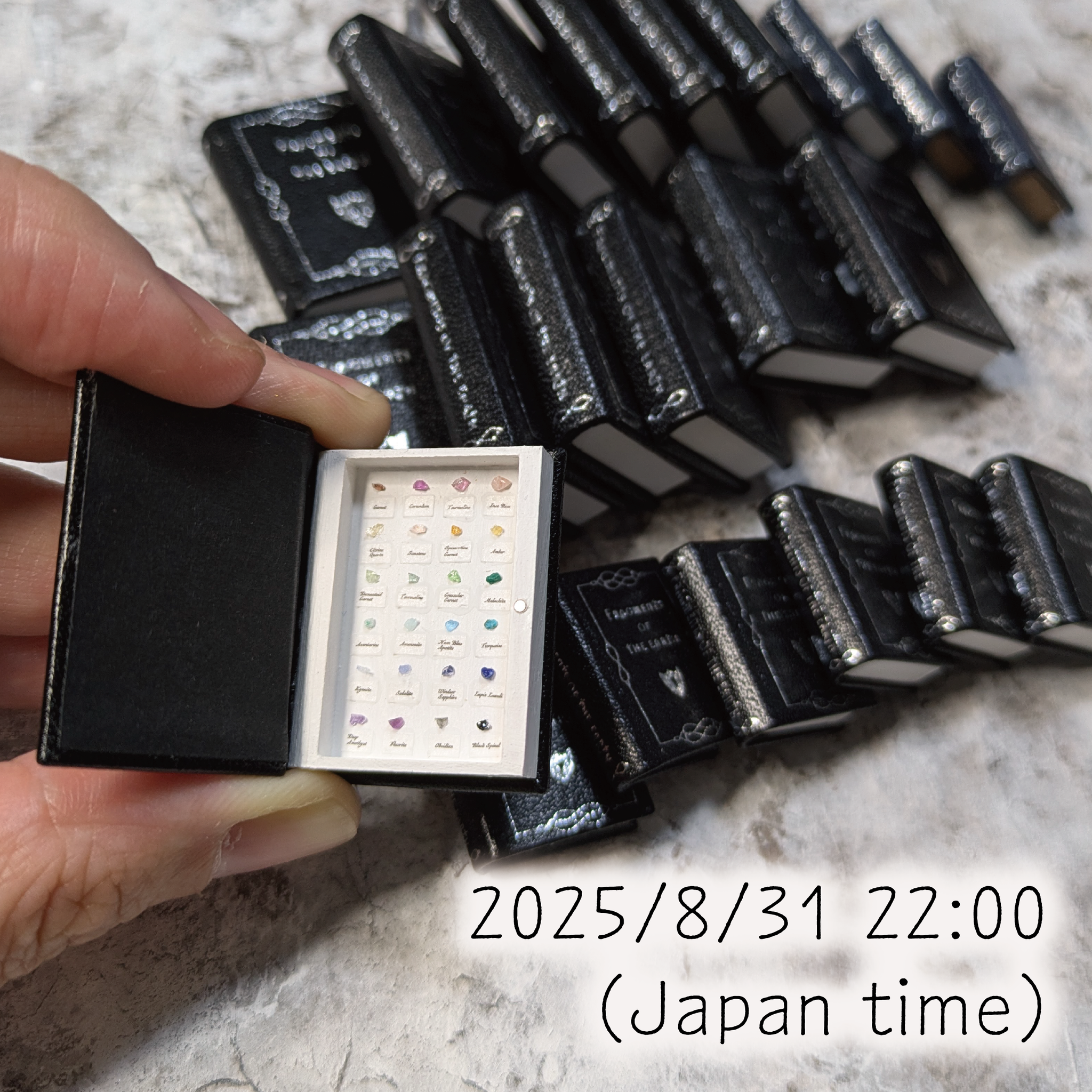 The book of the specimen box 2025/8/31 22:00 on SALE