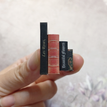 Cargar imagen en el visor de la galería, Kit de libros en miniatura5
