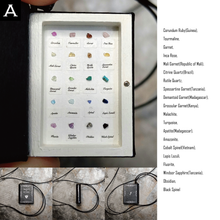 Load image into Gallery viewer, [Accessories] THE BOOK OF THE SPECIMEN BOX 2023/11/19

