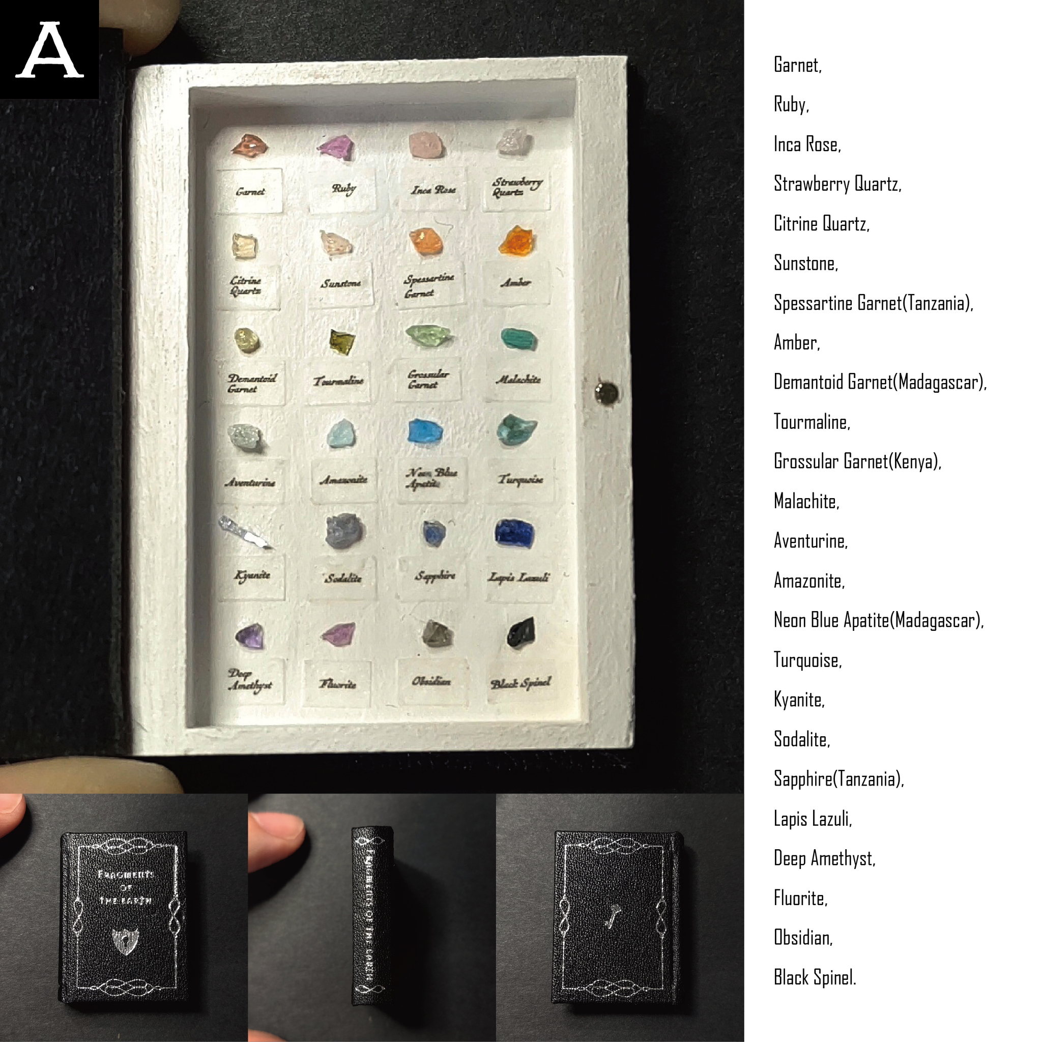 The book of the specimen box 2025/8/3 22:00 on SALE