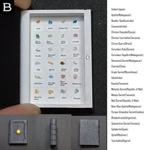 Load image into Gallery viewer, The book of the specimen box
