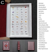 Load image into Gallery viewer, The book of the specimen box
