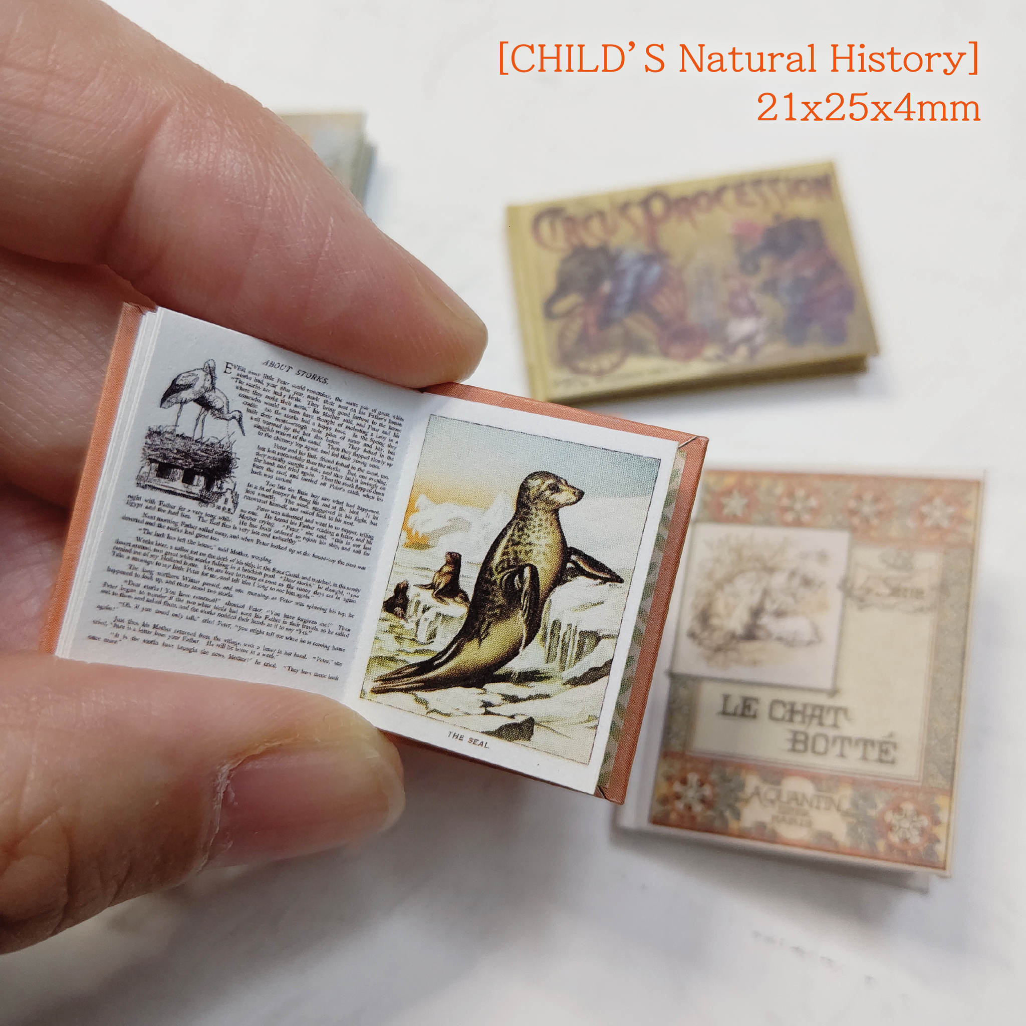 Miniature Book Kit12 'Picture bookE' 簡単豆本キット12（絵本E