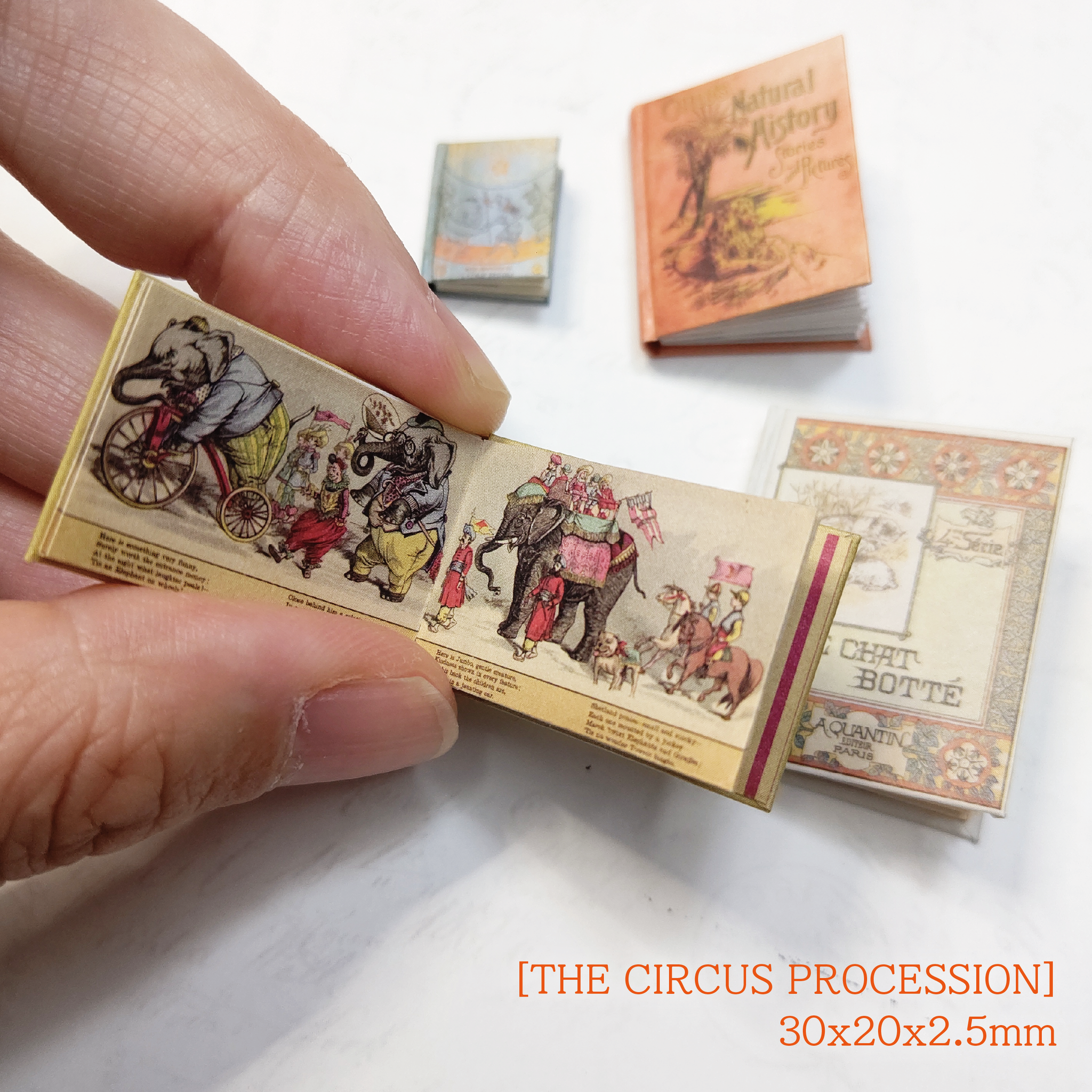 .•*¨*•.♬ミニチュア絵本.•*¨*•.♬ Miniature Book Kit12 'Picture bookE' 簡単豆本キット12（絵本E