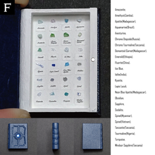Load image into Gallery viewer, The book of the specimen box
