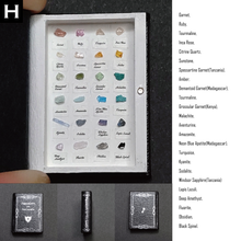 Load image into Gallery viewer, The book of the specimen box
